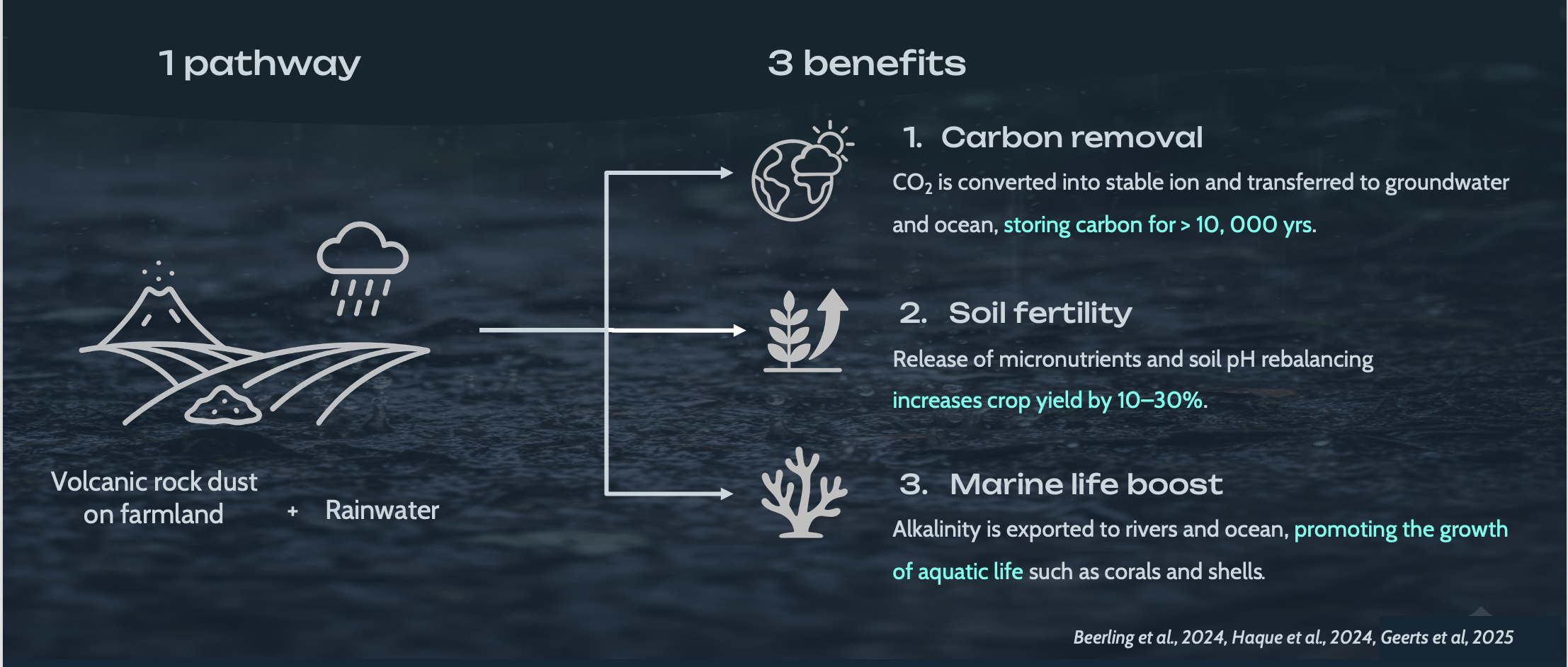 1 pathway, 3 benefits: Carbon removal, Soil fertility, Marine life boost